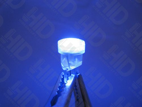 BLESK BLUE T10 LED LIGHTS 194 168 2825 Wedge bulbs PAIR  