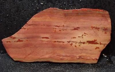 Flower Jasper Slab Owyhee Cabbing Rough HS WoW  