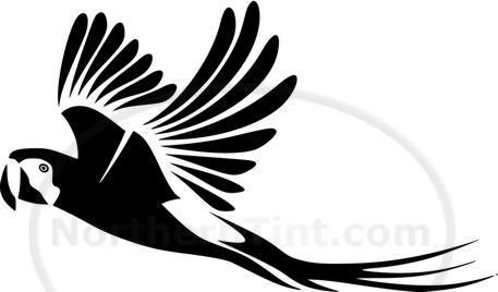 Tribal Parrot Car Decal Window Sticker Wall Art #333  