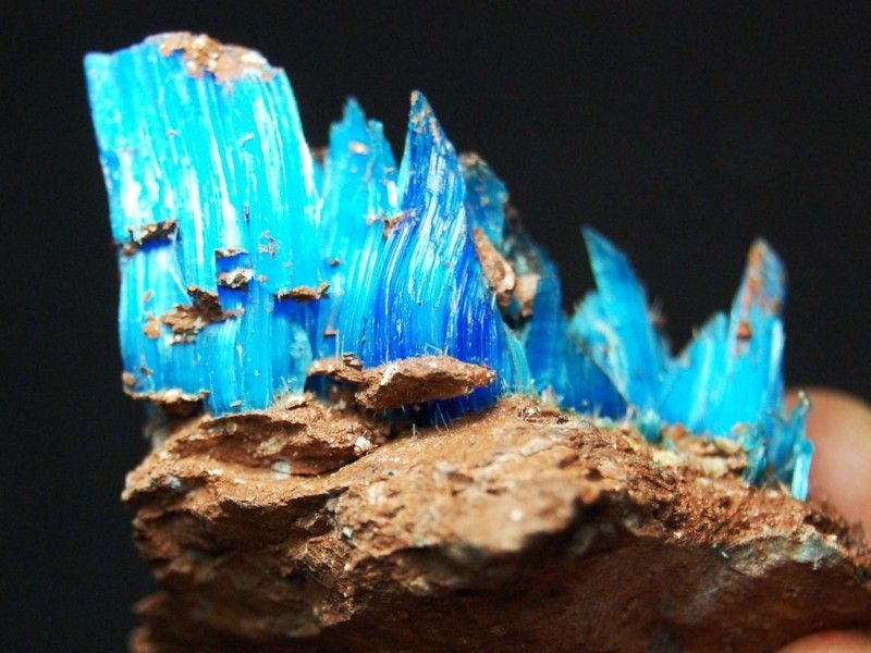 All Natural Blue Chalcanthite on Matrix, Planet Mine, AZ CHA146 