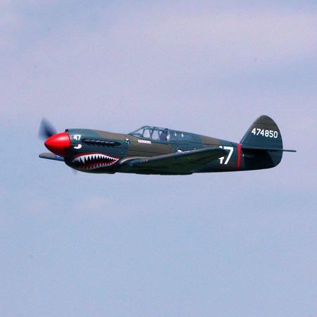 Flite P 40 Warhawk 300 ARF Electric Warbird Airplane   EFL6075 