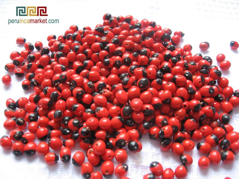 200 HUAYRURO Small SEED BEADS  Peru Drilled  