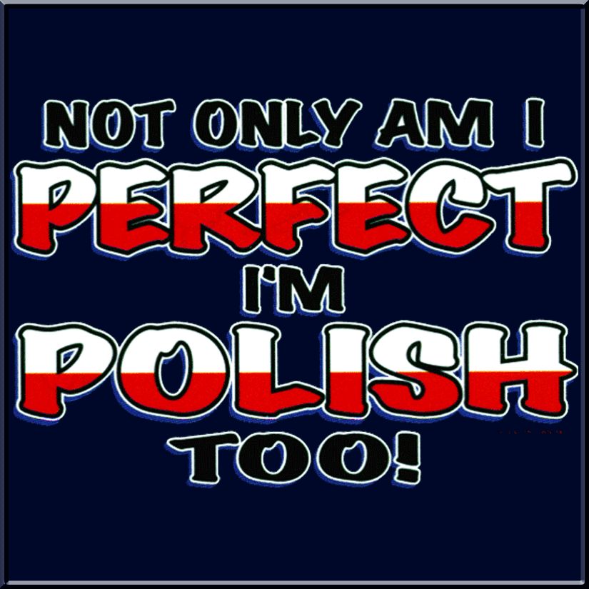 Not Only Am I Perfect Im Polish Too Shirt S 2X,3X,4X,5X  