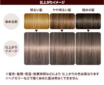 LUCIDO L Japan Milk Jam Hair Color Dying Kit  