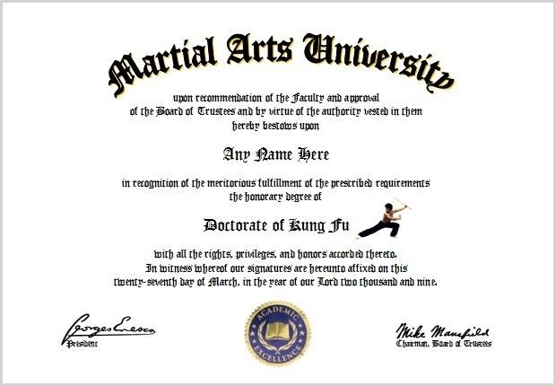 Kung Fu Diploma   Martial Arts Master Lover  