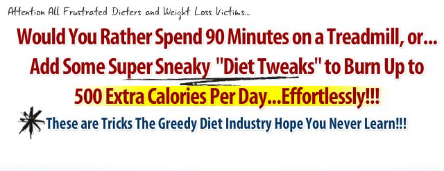 WEIGHT LOSS DIET BURN 500 EXTRA CALORIES PER DAY EBOOK  