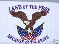 LAND OF THE FREE BECAUSE OF THE BRAVE FLAG 3 X 5  