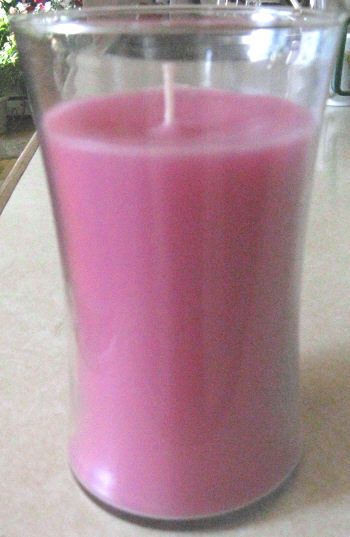 Home Interior/Celebrating Angel Wing Soy Candle NIB  