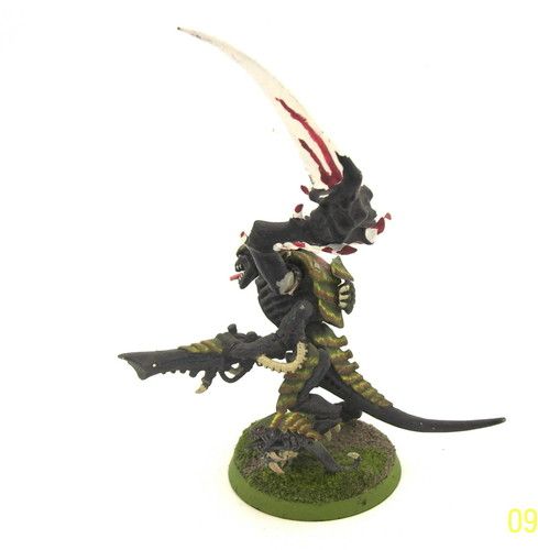 11 Warhammer 40K Tyranid Warrior  