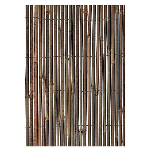 Bamboo Fence, 13 x 5  