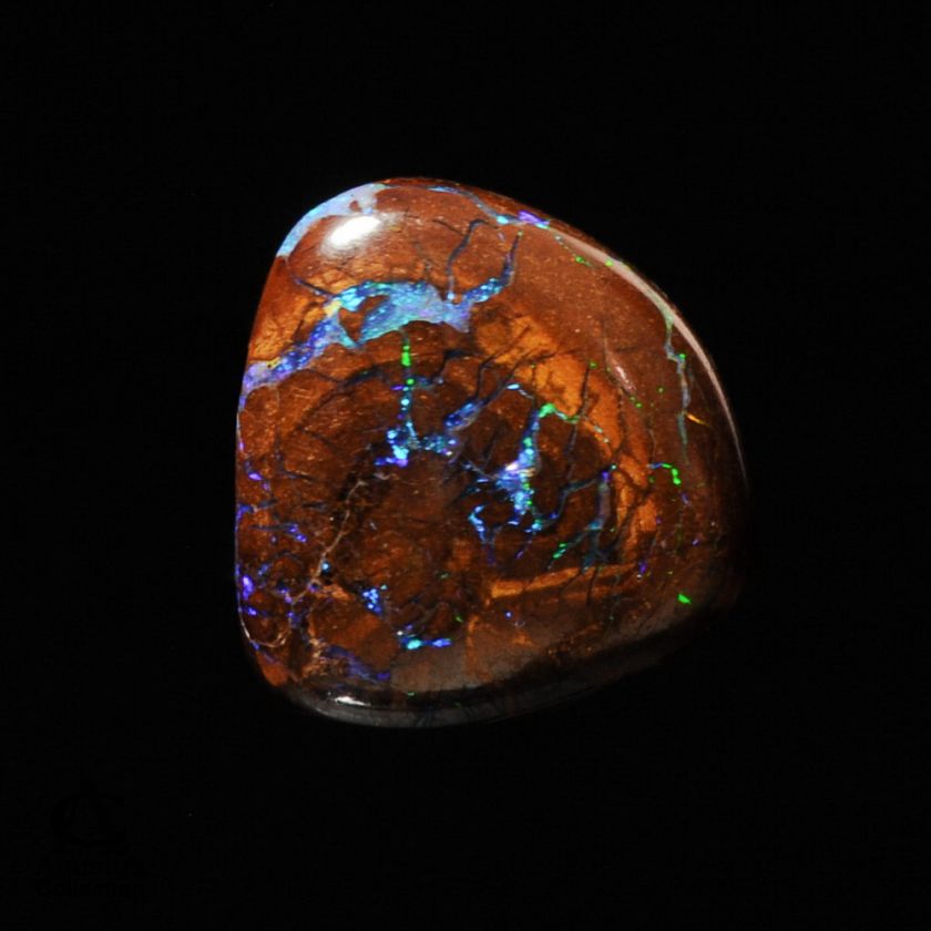 Gemstones Opal Australia Fossil by Agustus Collection