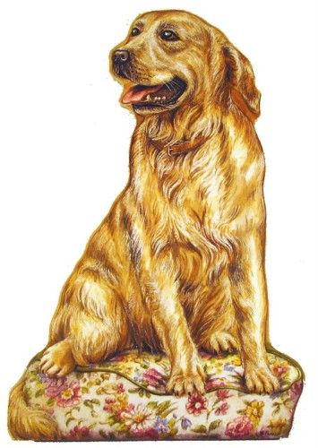 Decorative Dog Door Stop by Stupell   ALL BREEDS 4 u  