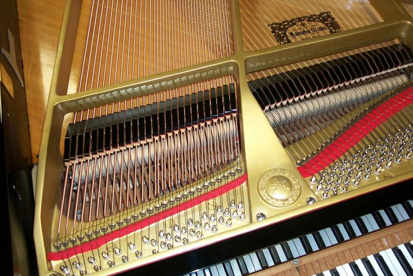 Yamaha C3 Grand Piano Outlet CLEAN  